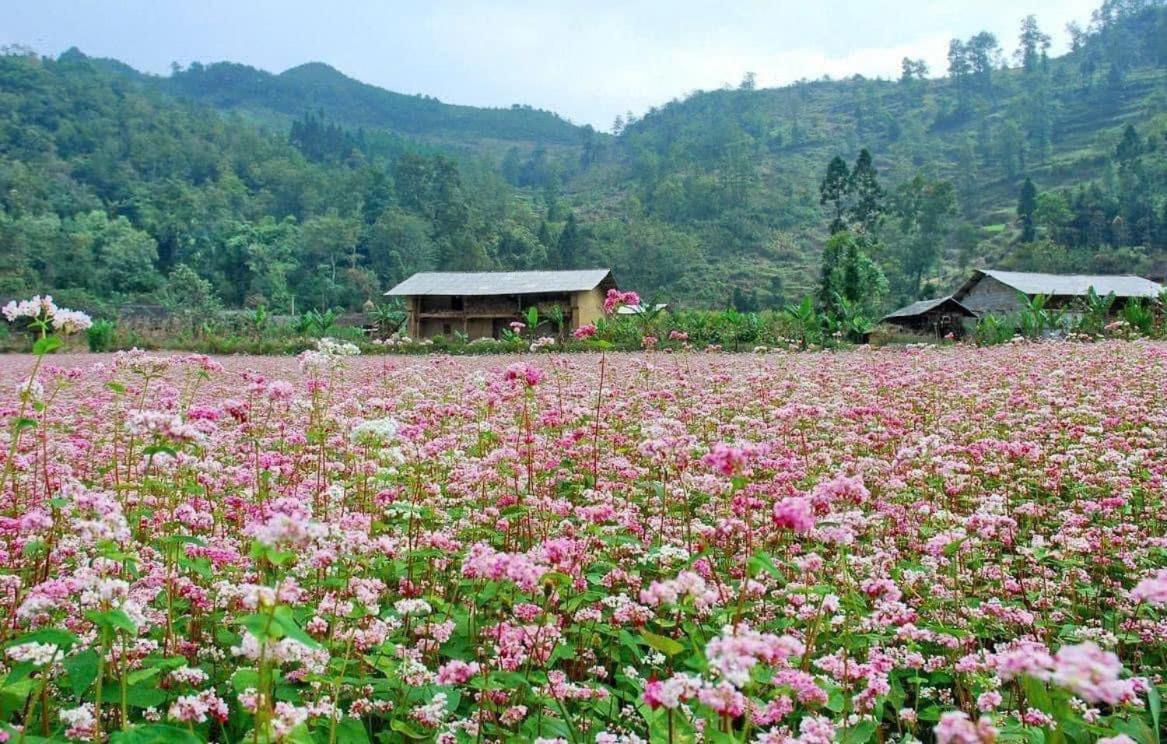 Thuy Anh Hotel Хазянг Экстерьер фото