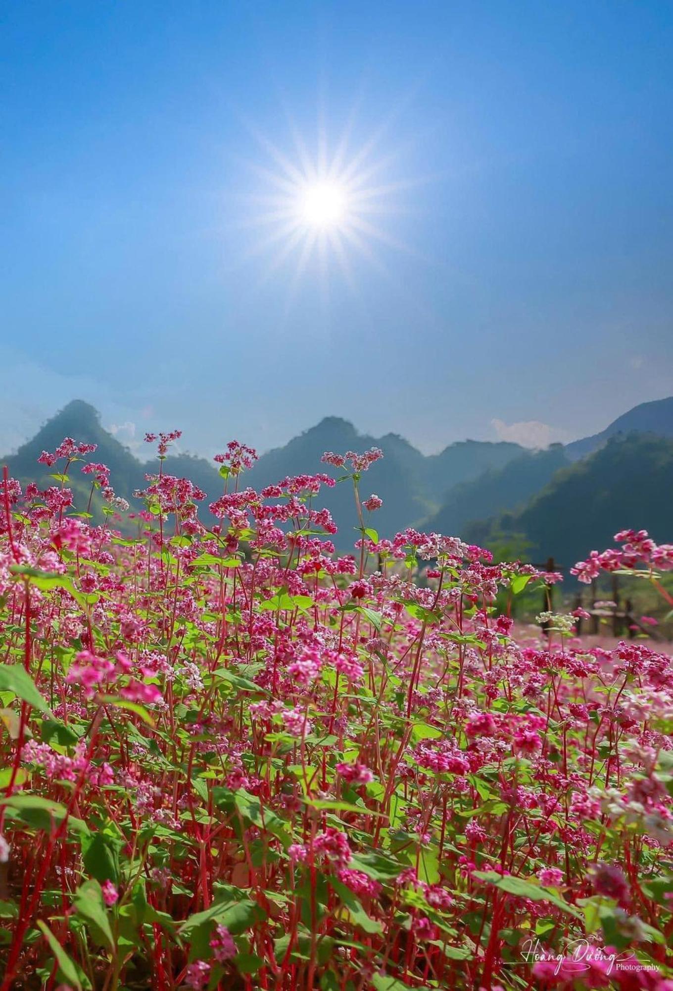 Thuy Anh Hotel Хазянг Экстерьер фото
